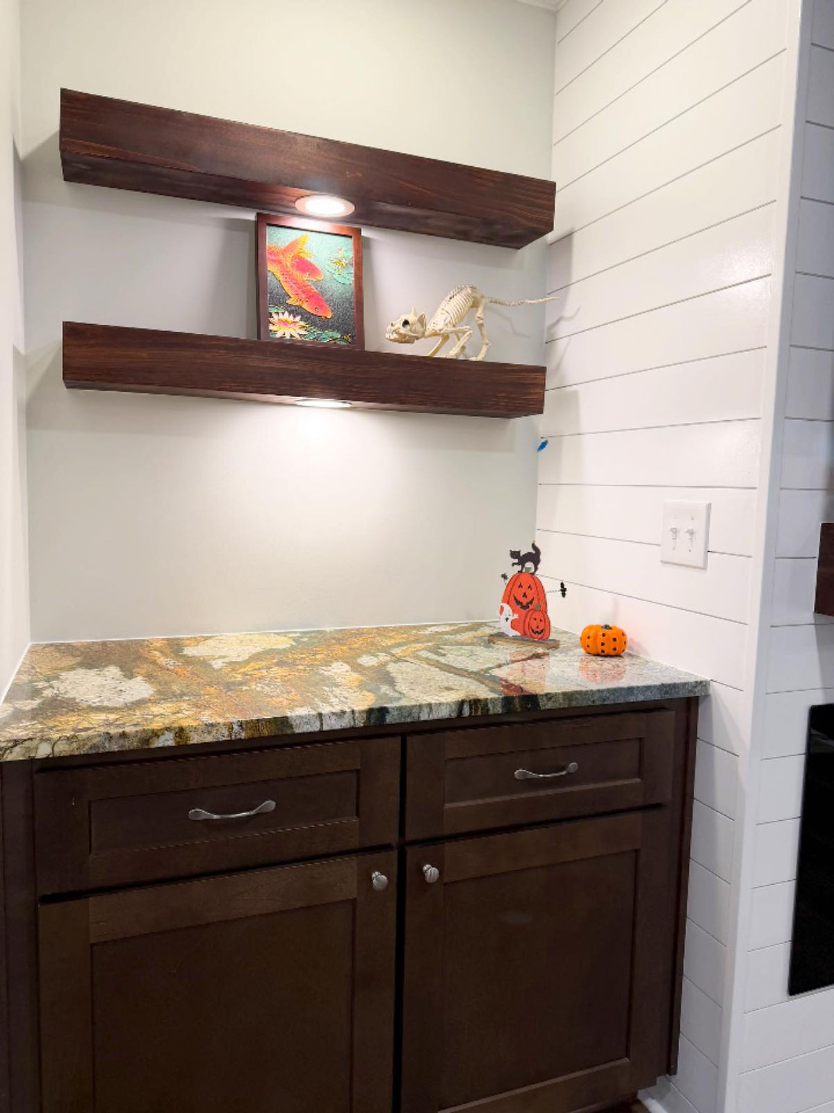 Wall display with dark wood shelves holds a fish painting and cat skeleton. Granite countertop below with Halloween pumpkin decor.