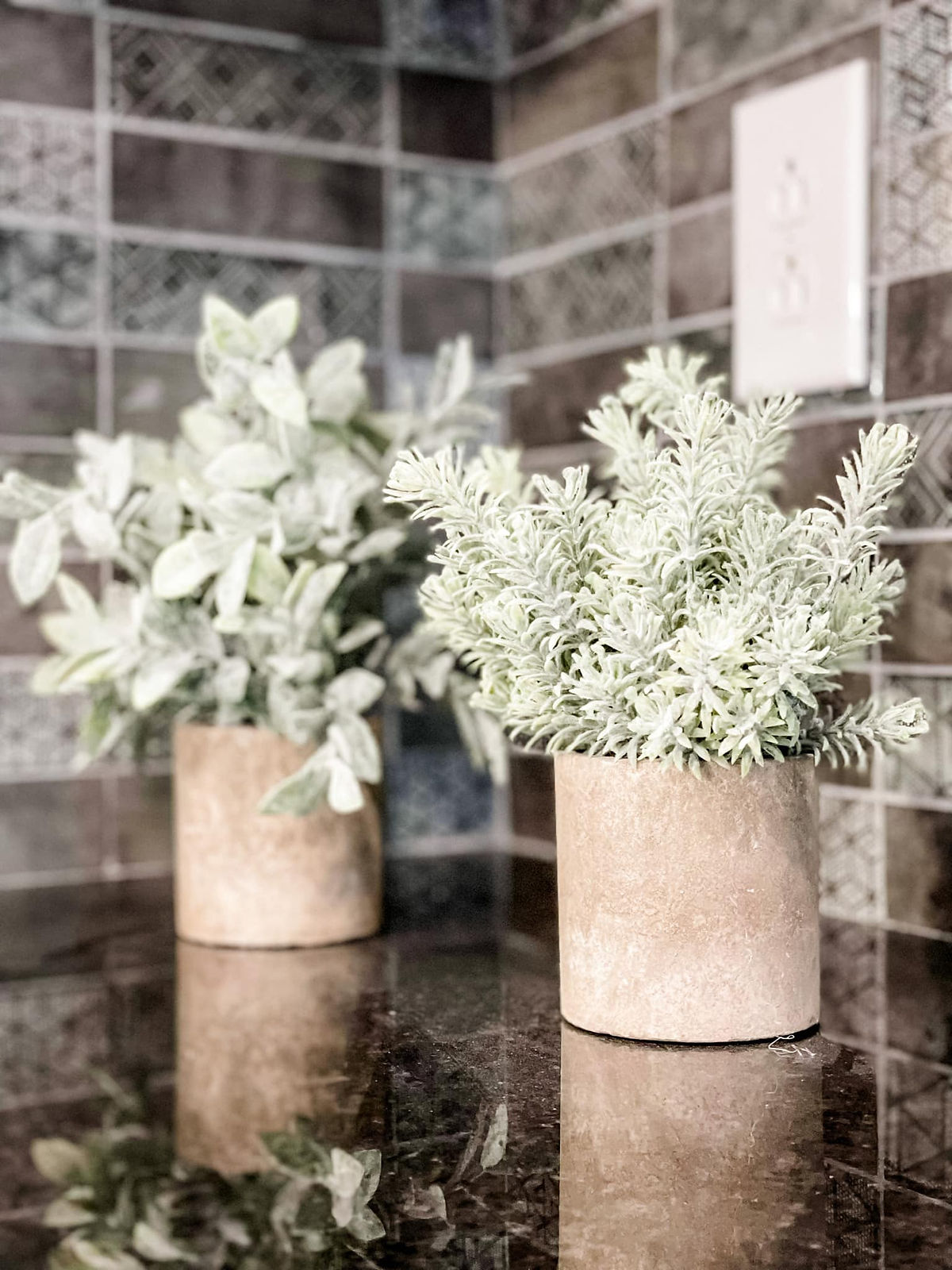 winter frosted greenery in pots on a dark countertop